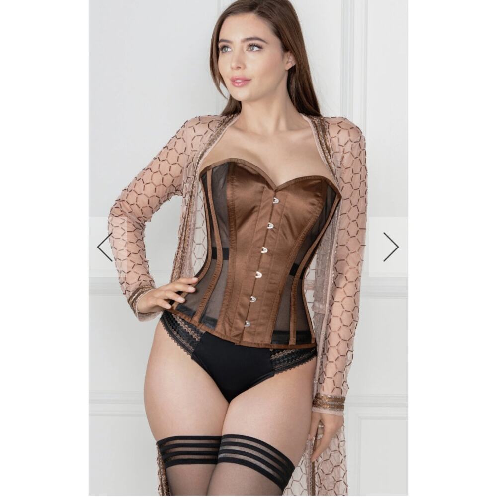 Elegant Brown Shapewear Corset